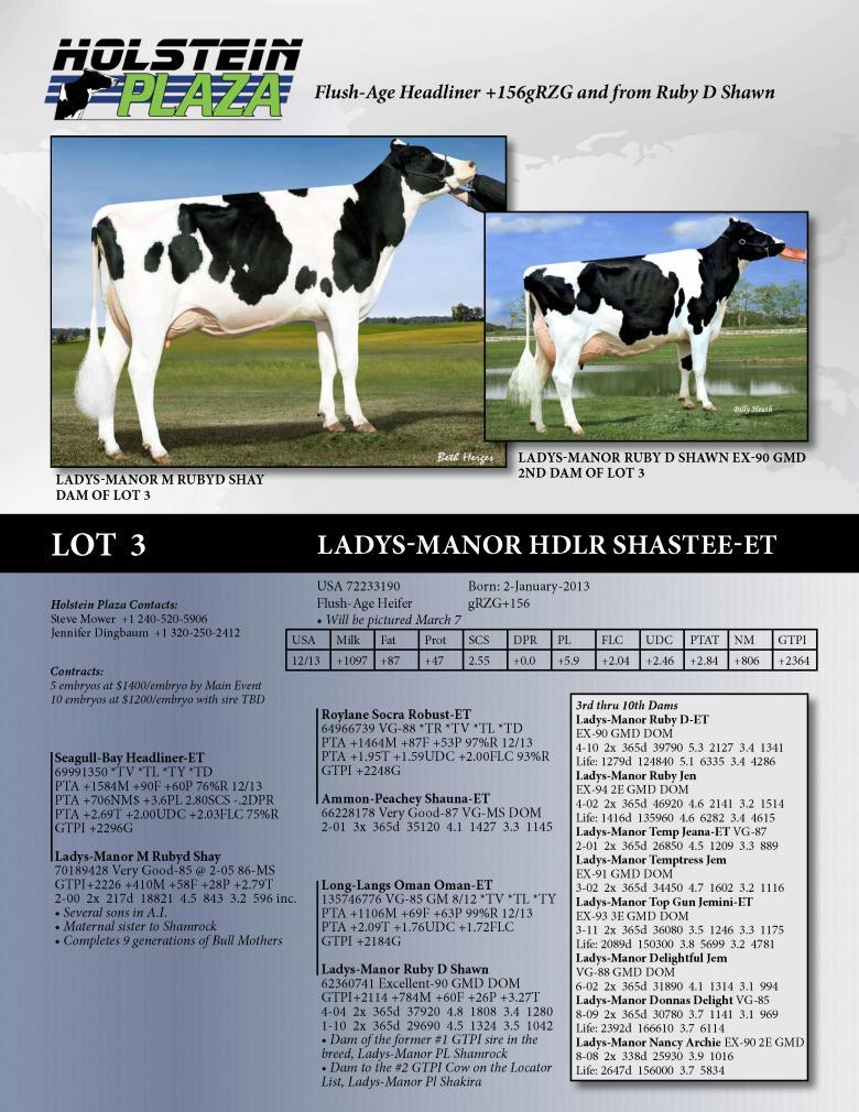 Datasheet for Ladys-Manor Hdlr Shastee
