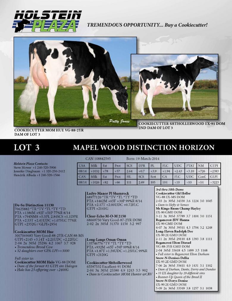 Datasheet for Mapel Wood Distinction Horizon