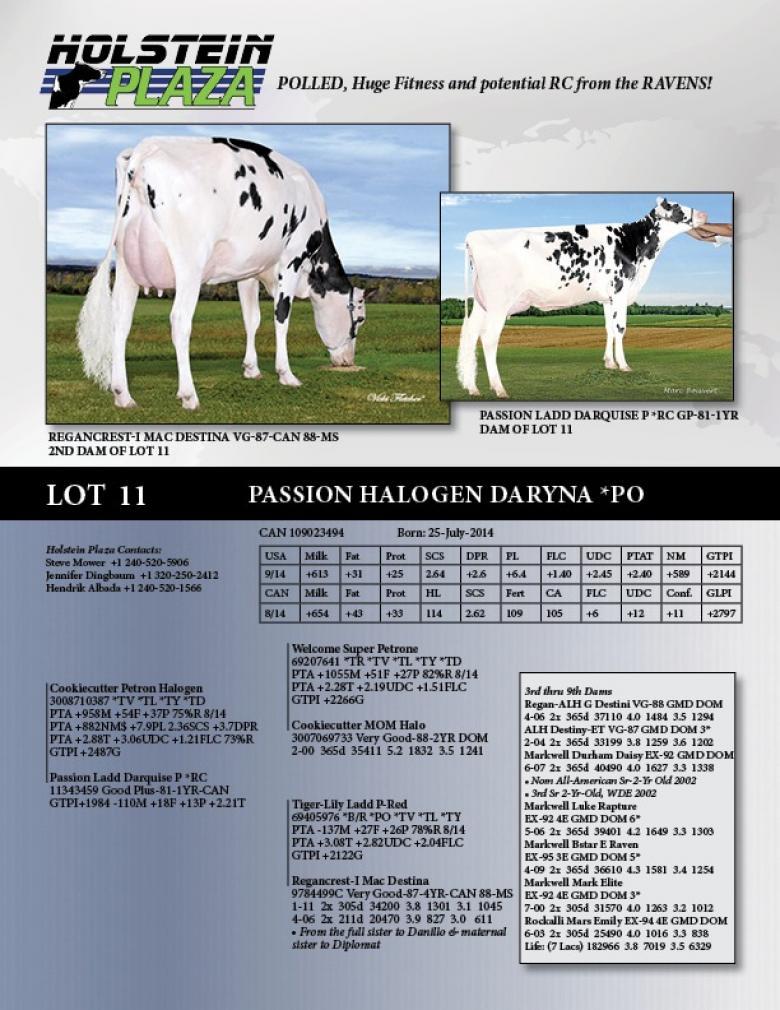 Datasheet for Passion Halogen Daryna *PO