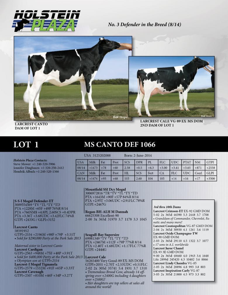 Datasheet for Ms Canto Def 1066