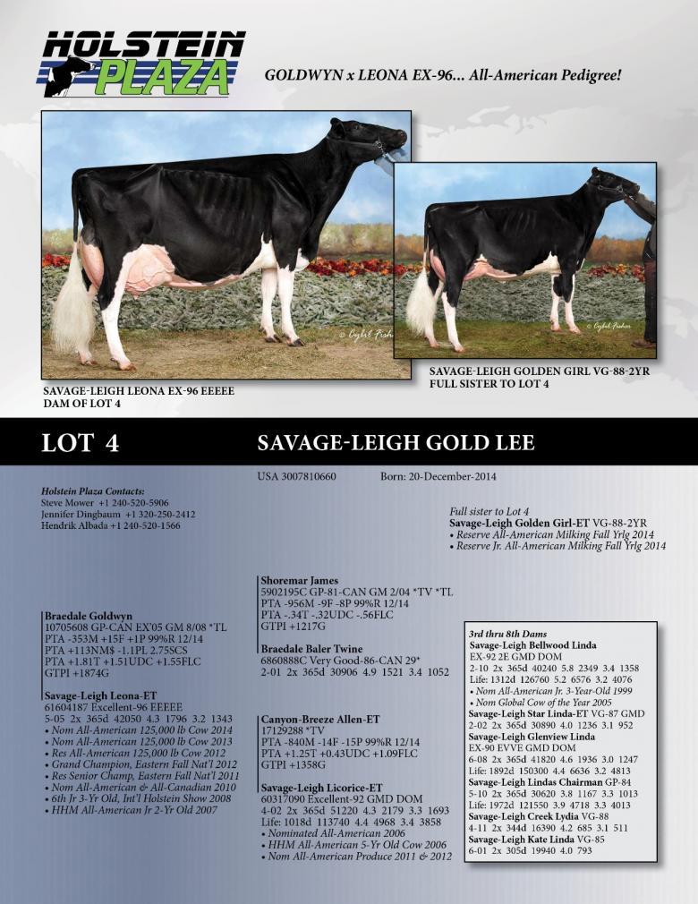 Datasheet for Savage-Leigh Gold Lee