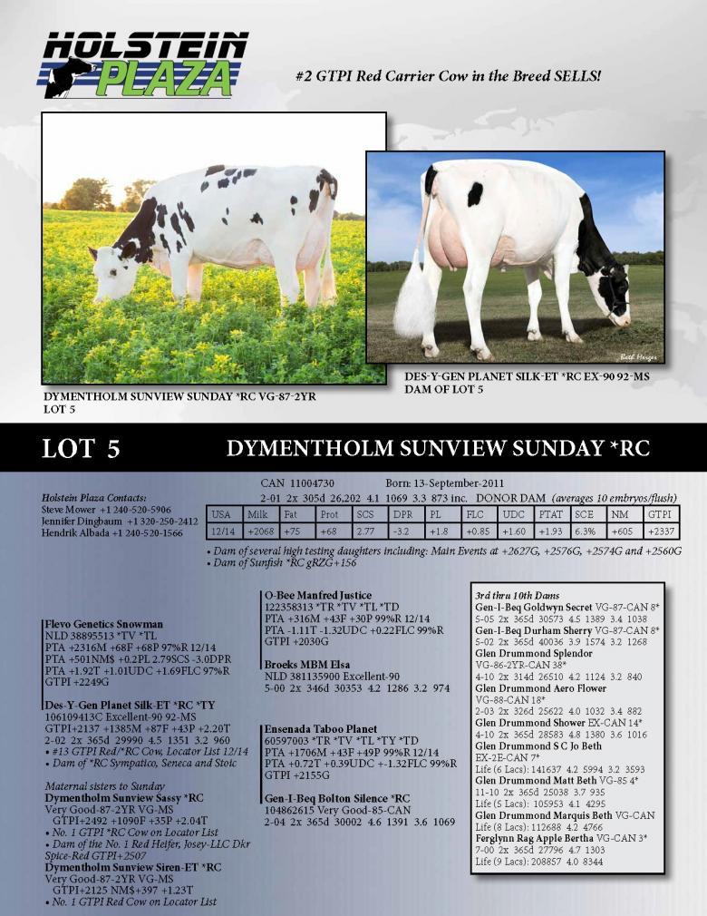 Datasheet for Dymentholm Sunview Sunday *RC VG-87-2YR