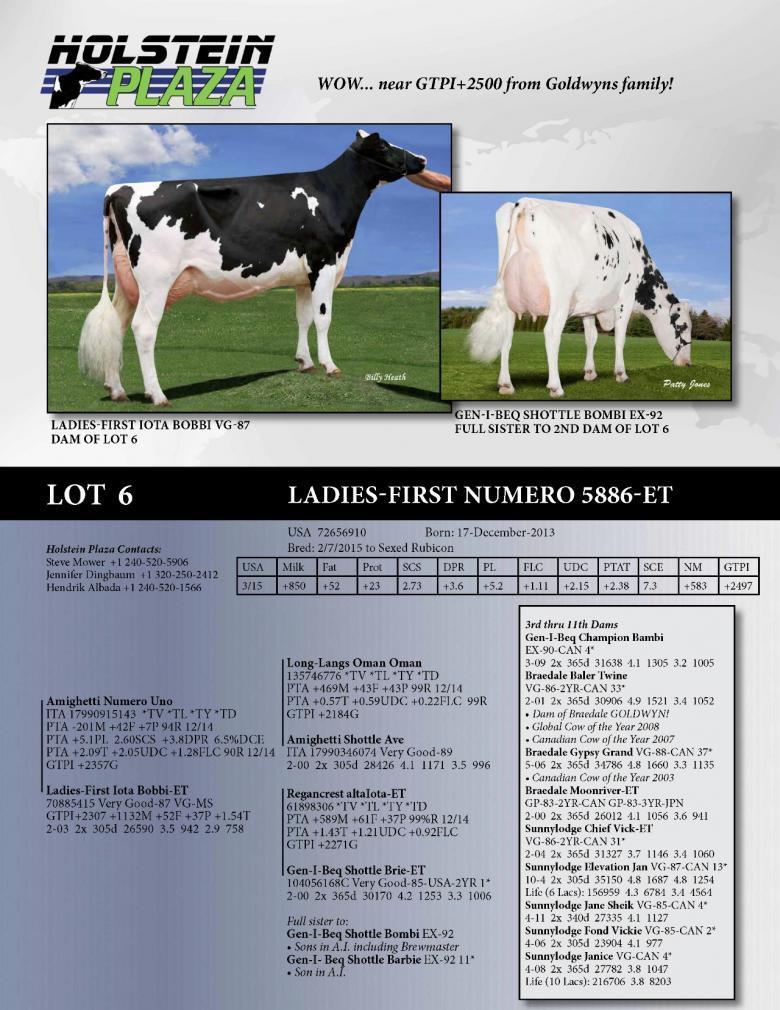 Datasheet for Ladies-First Numero 5886