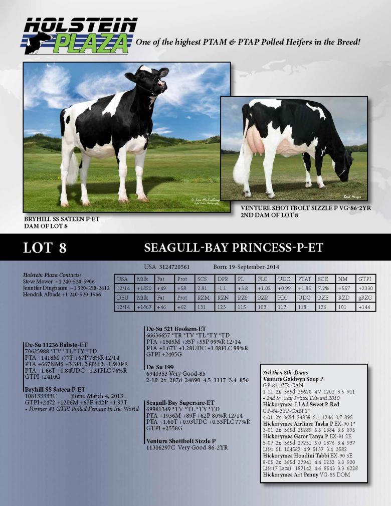 Datasheet for Seagull-Bay Princess P