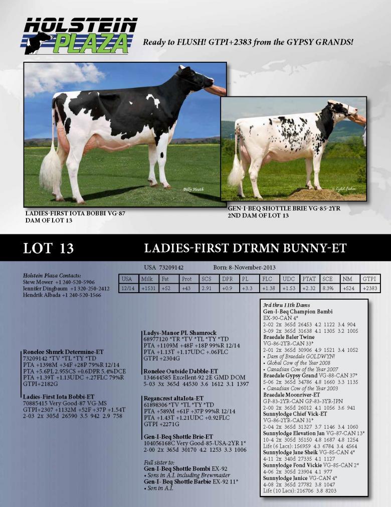 Datasheet for Ladies-First Dtrmn Bunny