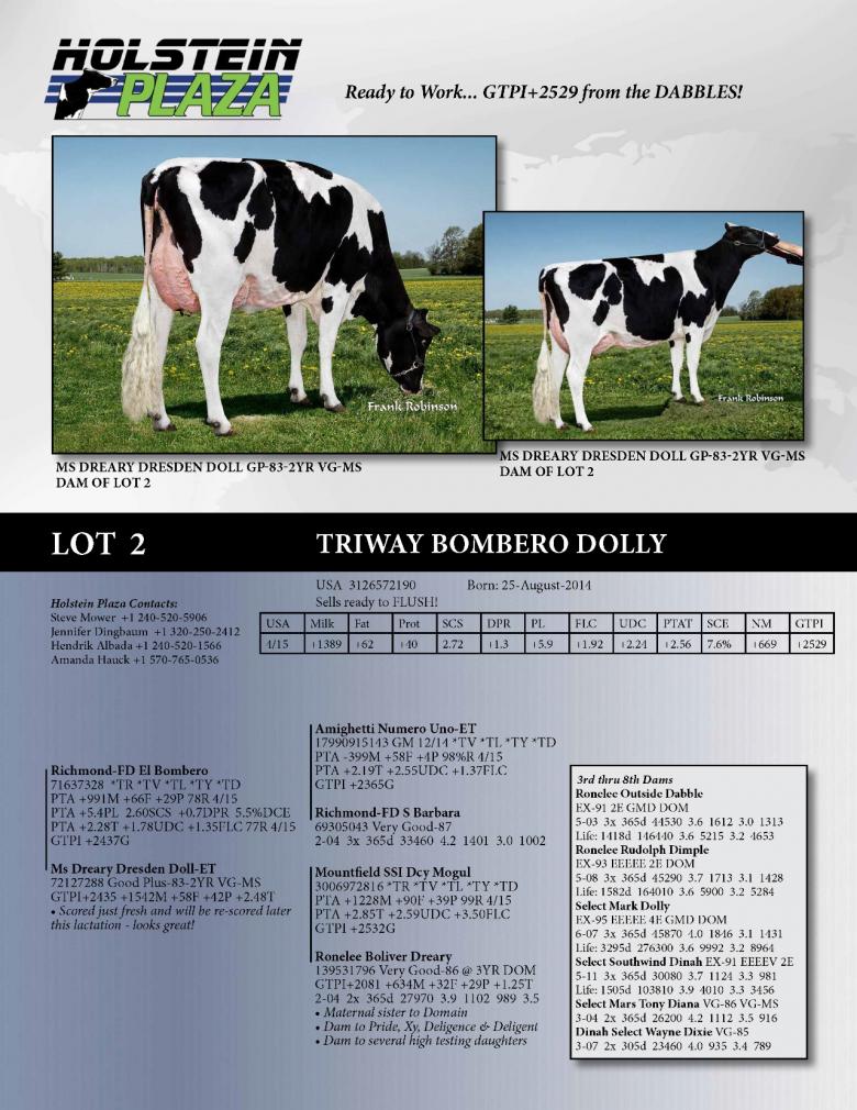 Datasheet for Triway Bombero Dolly