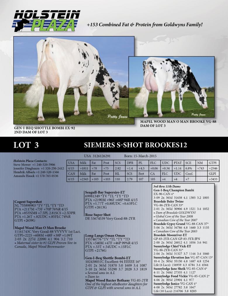 Datasheet for Siemers S-Shot Brookes12