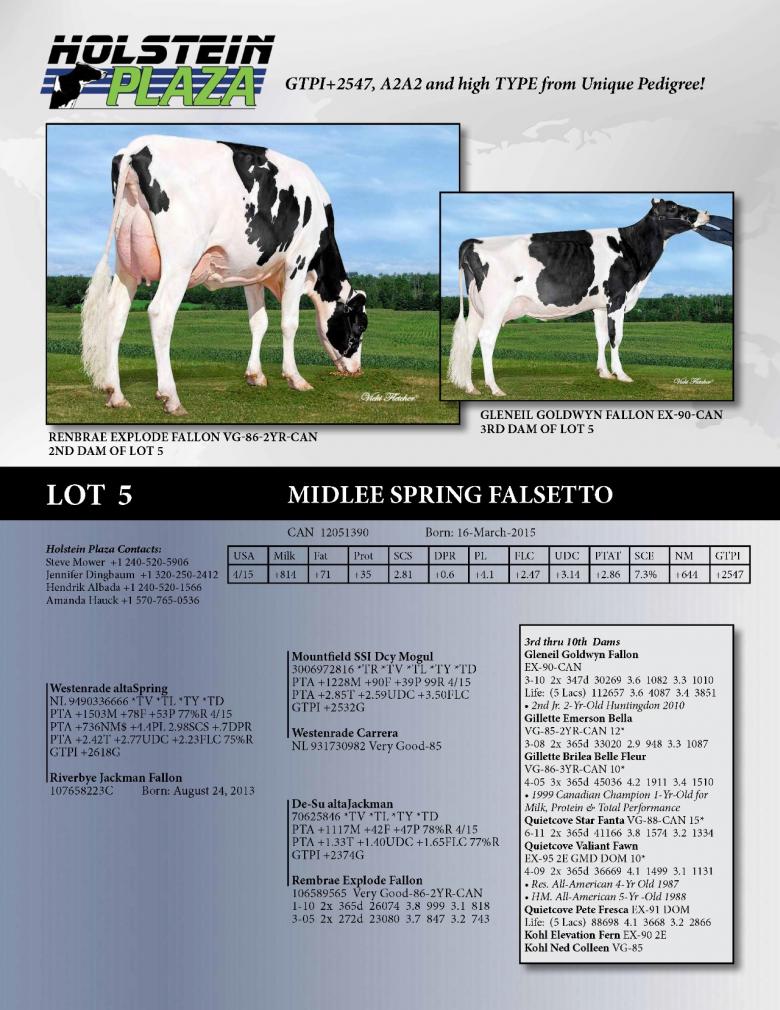 Datasheet for Midlee Spring Falsetto