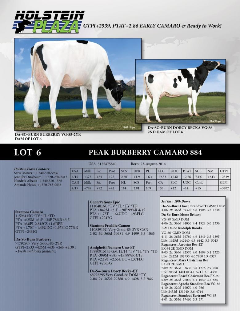 Datasheet for Peak Burberry Camaro 884