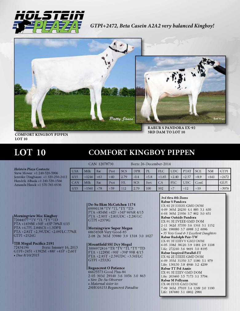 Datasheet for Comfort Kingboy Pippen