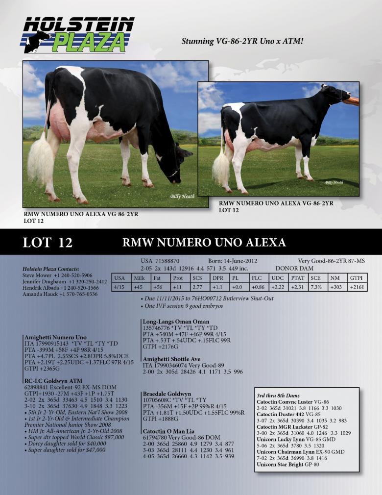 Datasheet for RMW Numero Uno Alexa VG-86-2YR