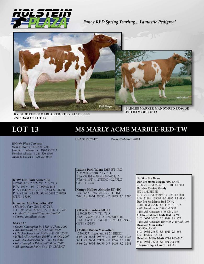 Datasheet for Ms Marly Acme Marble-Red-TW