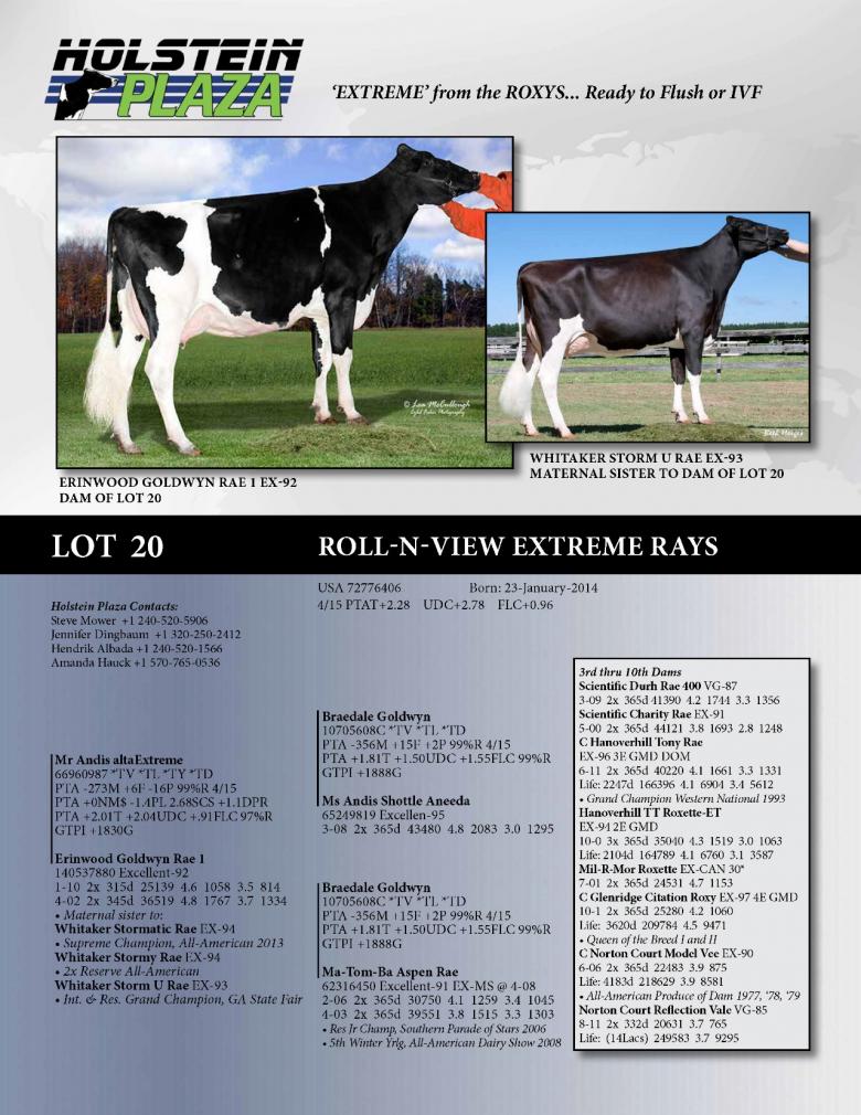Datasheet for Roll-N-View Extreme Rays