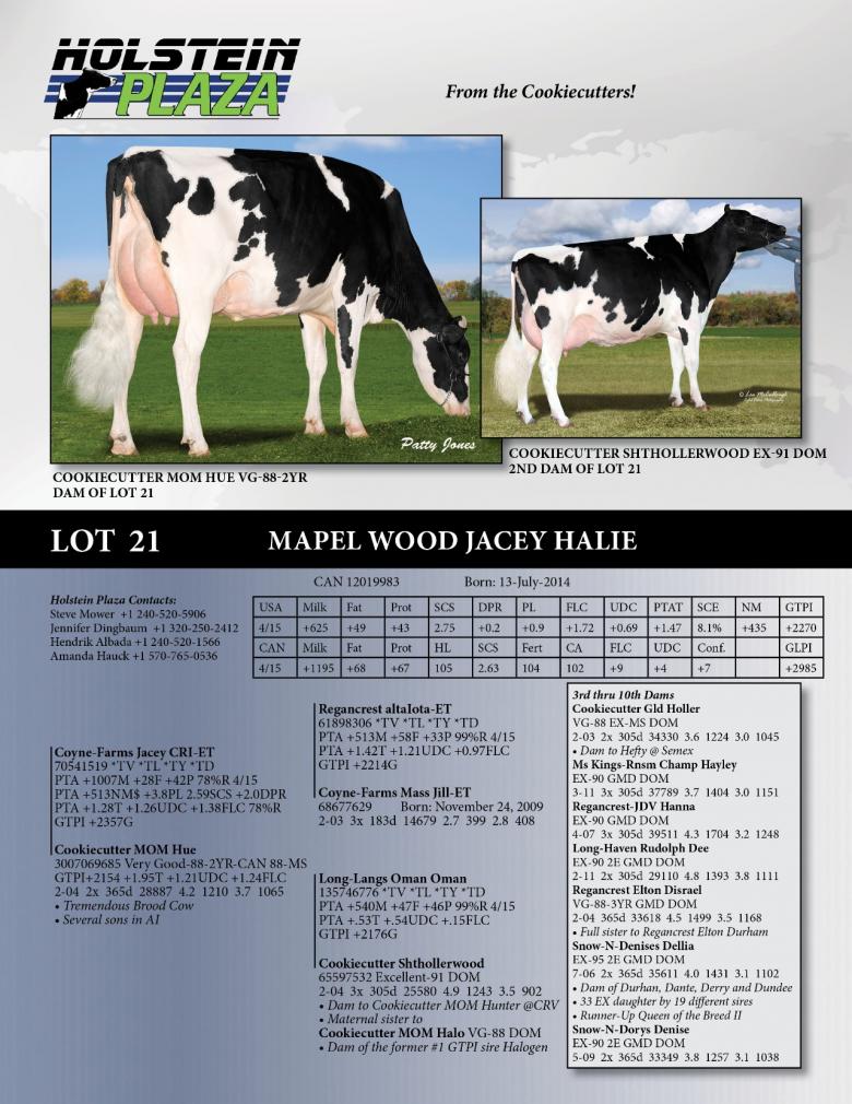 Datasheet for Mapel Wood Jacey Hallie