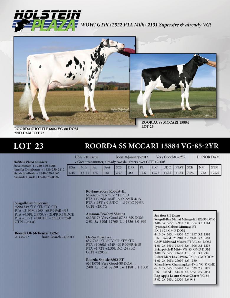 Datasheet for Roorda SS McCari 15884 VG-85-2YR