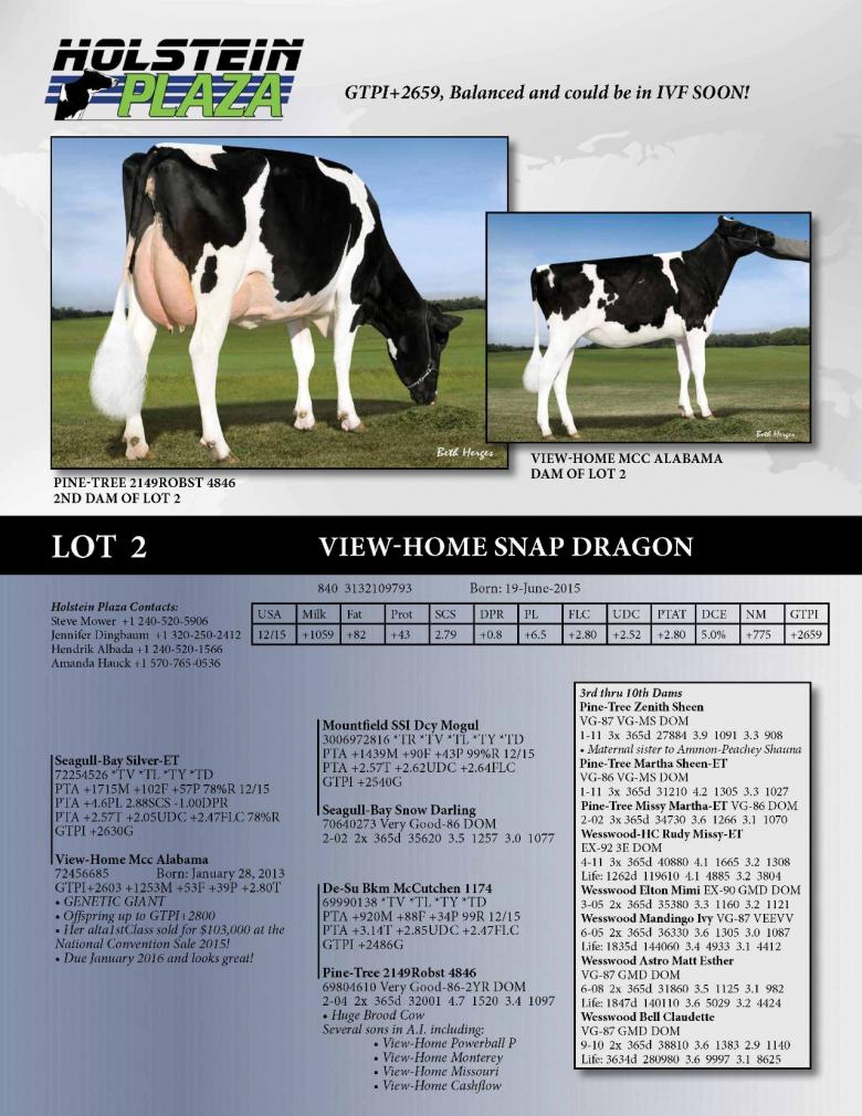Datasheet for View-Home Snap Dragon