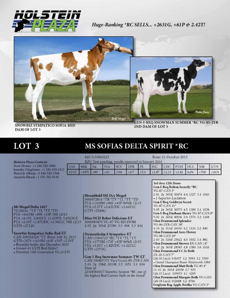 Datasheet for Ms Sofias Delta Spirit *RC