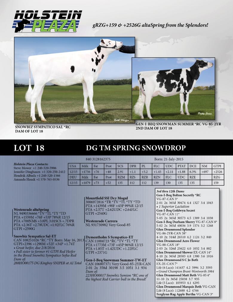 Datasheet for DG TM Spring Snowdrop