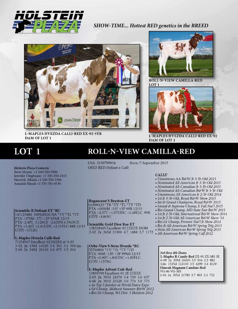 Datasheet for Roll-N-View Camilla-Red