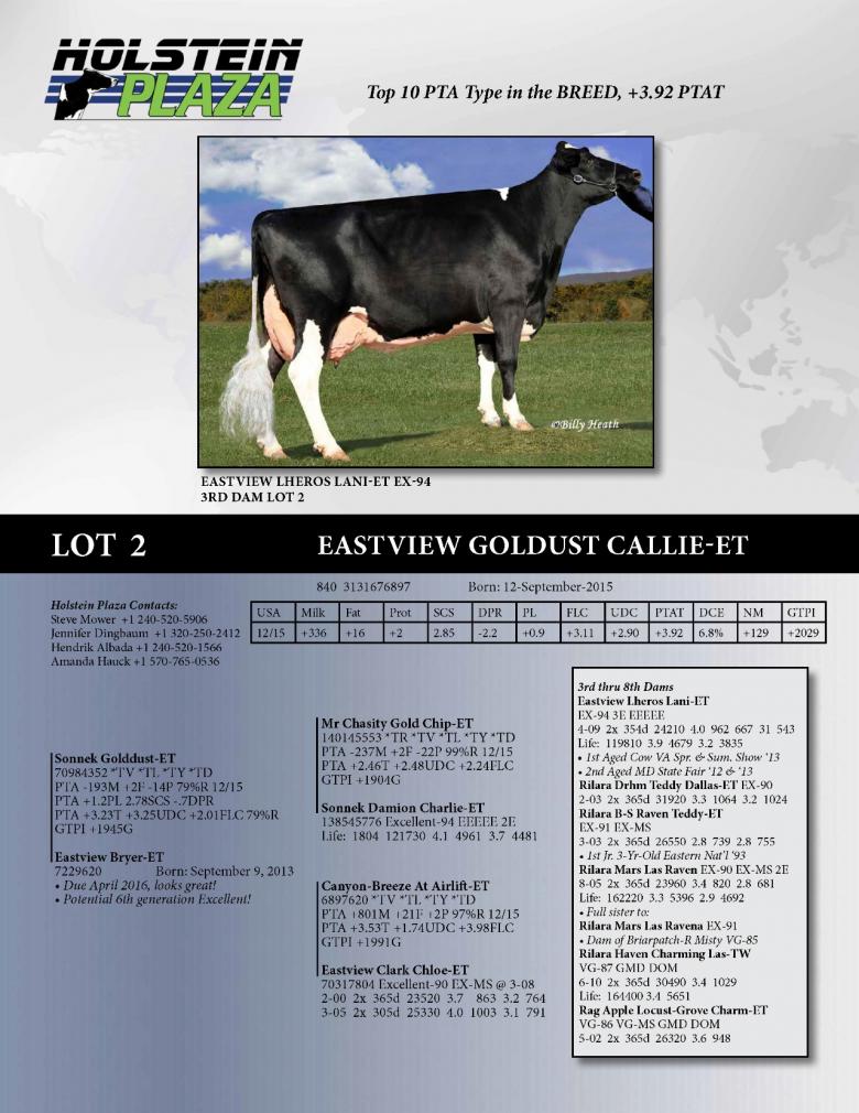 Datasheet for Eastview Goldust Callie