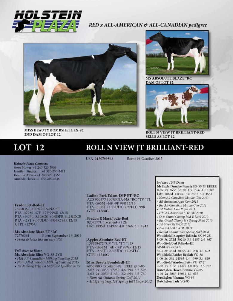 Datasheet for Roll N View Jt Brilliant-Red