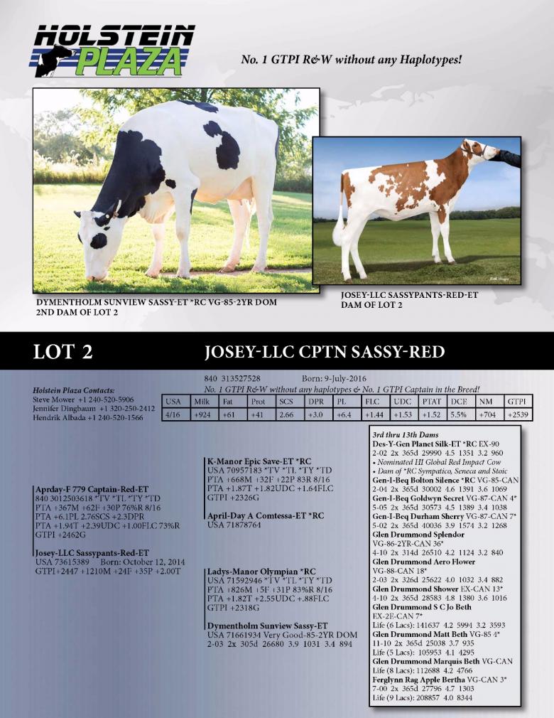Datasheet for Josey-LLC Cptn Sassy-Red