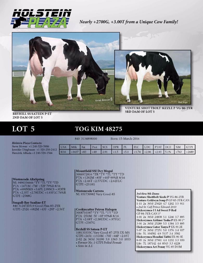 Datasheet for TOG Kim 48275