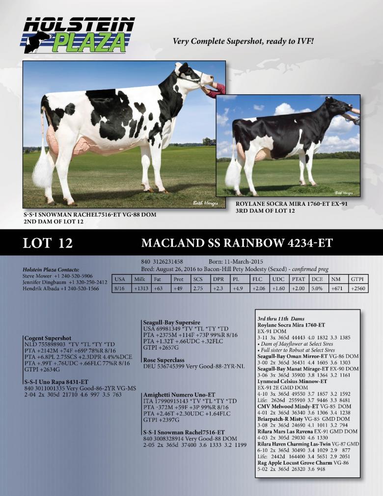 Datasheet for Macland SS Rainbow 4234-ET