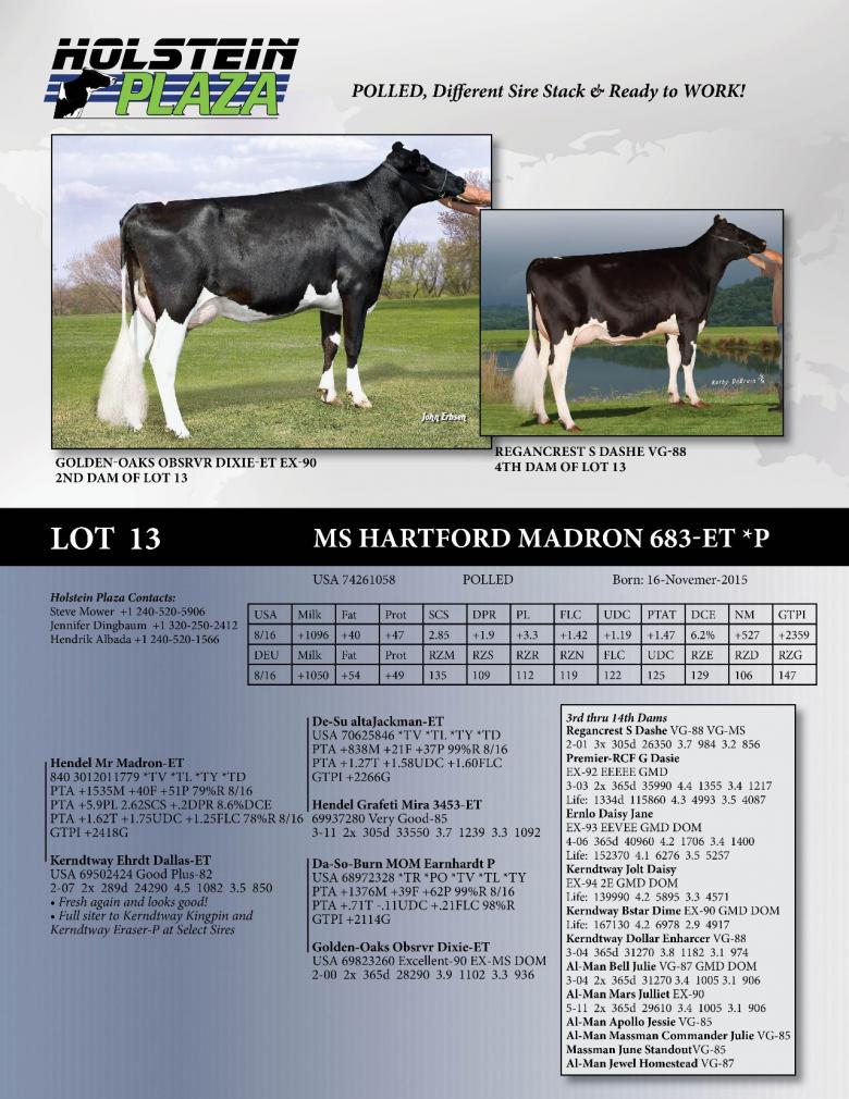 Datasheet for Ms Hartford Madron 683 *P