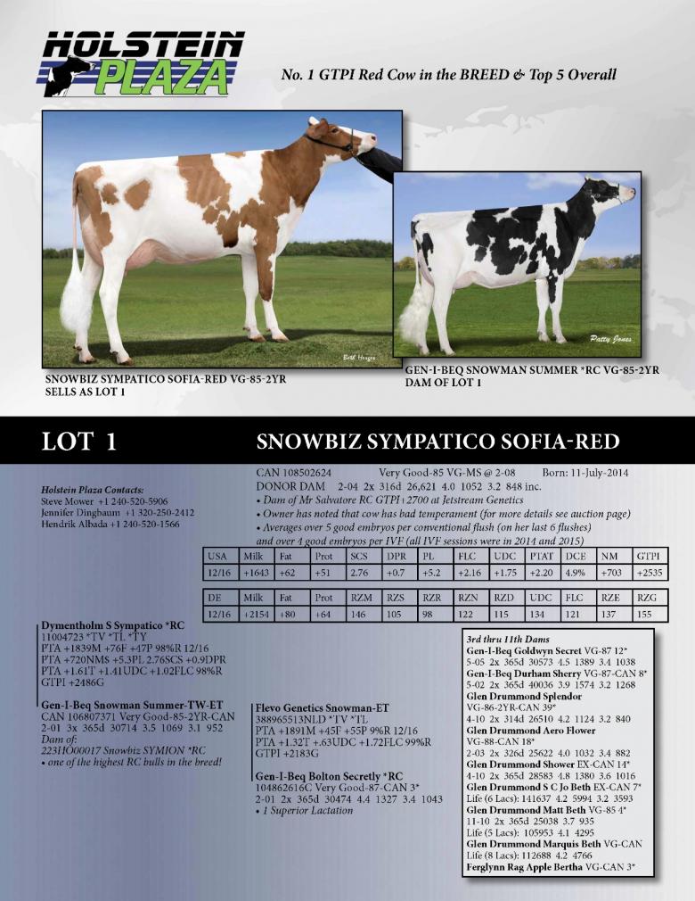 Datasheet for Snowbiz Sympatico Sofia-Red