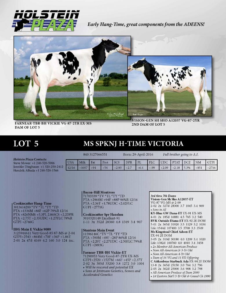 Datasheet for Ms Spknj H-Time Victoria
